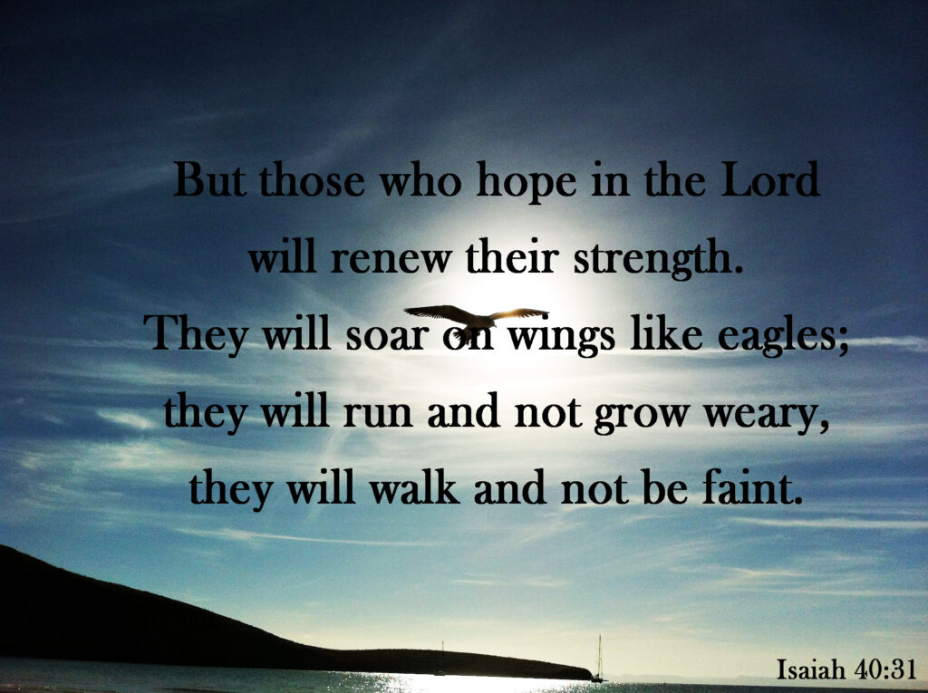 Isaiah 40:31 but those who hope in the Lord
    will renew their strength.
They will soar on wings like eagles;
    they will run and not grow weary,
    they will walk and not be faint.